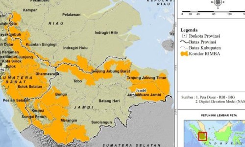 四照花生长速度-14个月宝宝23斤带多大尿不湿网 :分享一口高压锅划拳歌视频-一口高压锅划拳歌视频知识