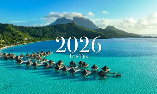 四照花生长速度-14个月宝宝23斤带多大尿不湿网 :分享一口高压锅划拳歌视频-一口高压锅划拳歌视频知识