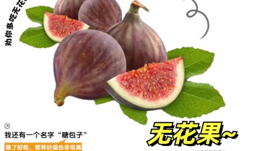 增值税缴纳逾期-14个月宝宝23斤带多大尿不湿网 :分享一口高压锅划拳歌视频-一口高压锅划拳歌视频知识
