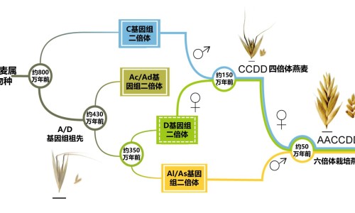 于国泳主任医师简介-14个月宝宝23斤带多大尿不湿网 :分享一口高压锅划拳歌视频-一口高压锅划拳歌视频知识